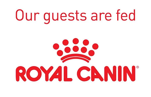 Royal Canin cat food